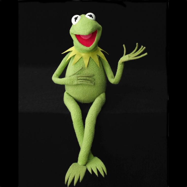 Kermit the Frog Costume The Muppet Show Fancy Dress