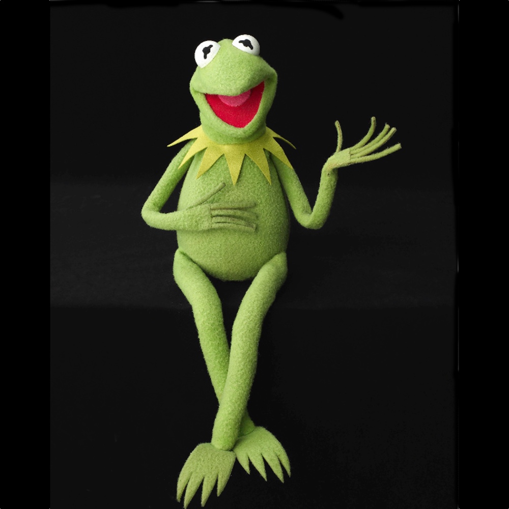 Kermit the Frog Costume - The Muppet Show Fancy Dress