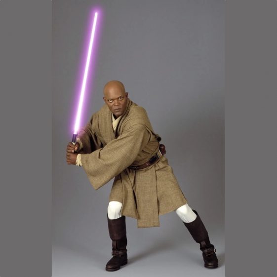 Mace Windu Costume - Star Wars Fancy Dress