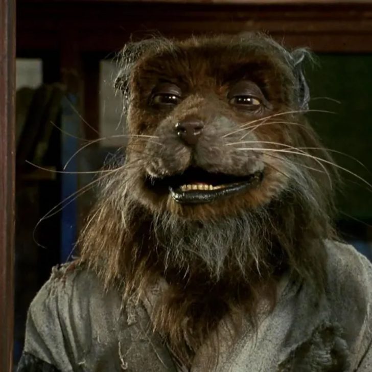 Master Splinter Costume - Teenage Mutant Ninja Turtles