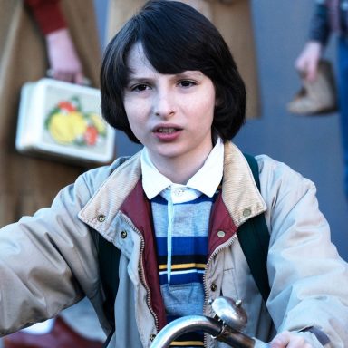 Mike Wheeler Costume - Stranger Things Fancy Dress