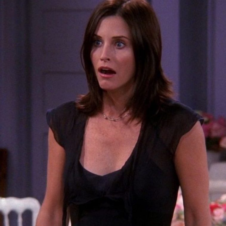 Monica Geller Costume - Friends Fancy Dress