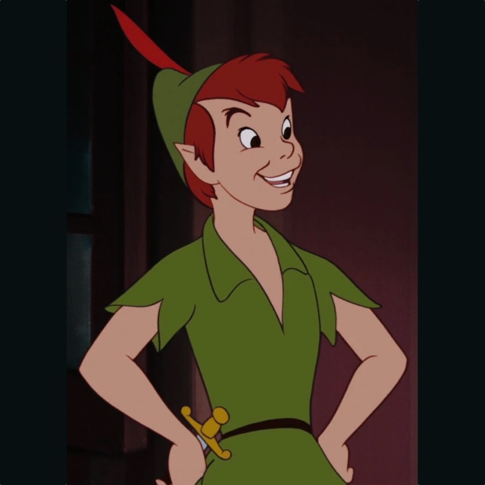 Peter Pan Costume - Peter Pan Fancy Dress