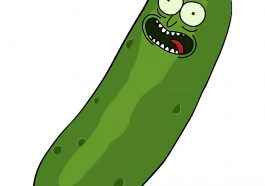 Pickle Rick Costume - Rick and Morty Fancy Dress