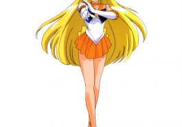 Sailor Venus Costume - Sailor Moon Fancy Dress