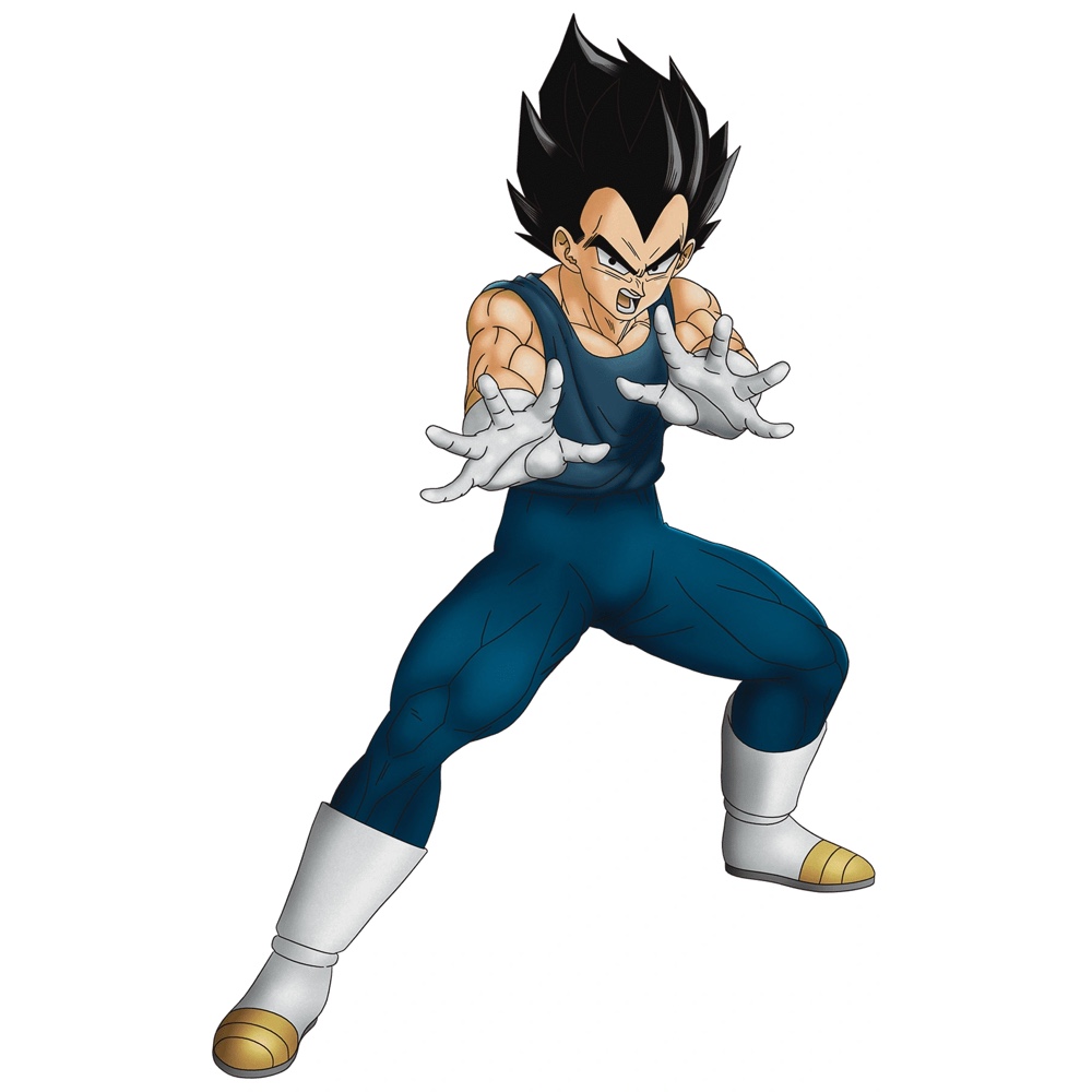 Vegeta Costume - Dragon Ball Fancy Dress