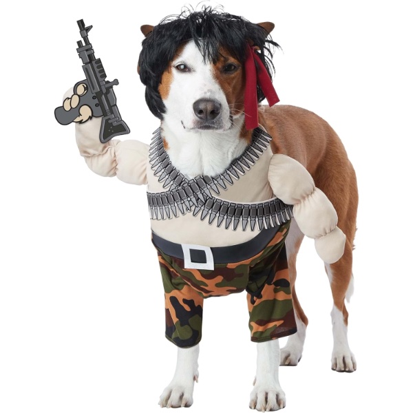 10 Dog Halloween Costume - Pet Fancy Dress Ideas - Action Hero Dog