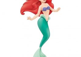 Ariel Costume - The Little Mermaid Fancy Dress