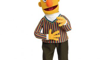 Bert Costume - Sesame Street Fancy Dress Ideas