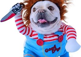10 Dog Halloween Costume - Pet Fancy Dress Ideas - Chucky Dog