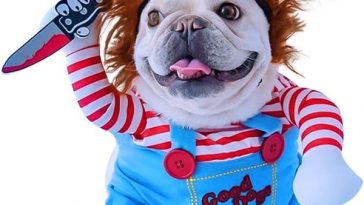10 Dog Halloween Costume - Pet Fancy Dress Ideas - Chucky Dog