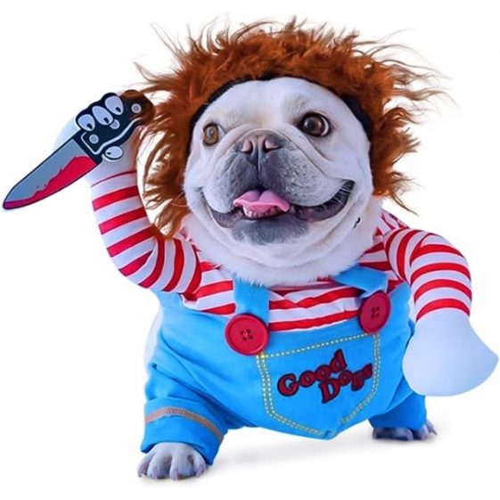 10 Dog Halloween Costume Pet Fancy Dress Ideas