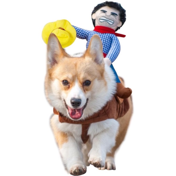 10 Dog Halloween Costume - Pet Fancy Dress Ideas - Cowboy Rider