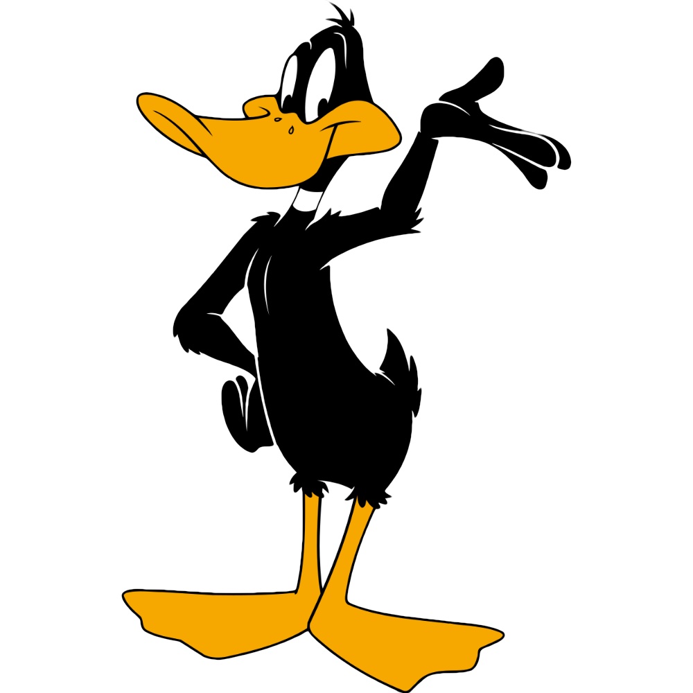 Daffy Duck Costume - Looney Tunes Fancy Dress Ideas