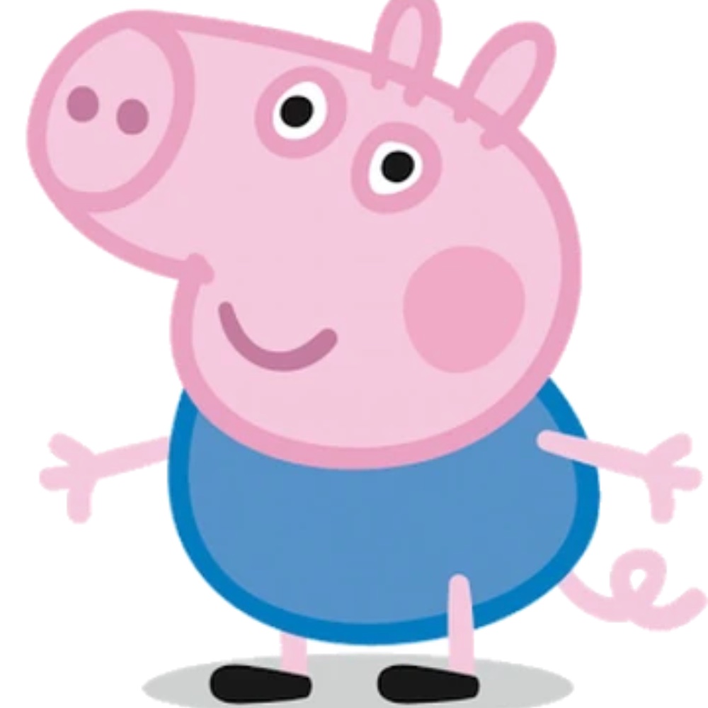 George Pig Costume - Peppa Pig Fancy Dress Ideas for Halloween