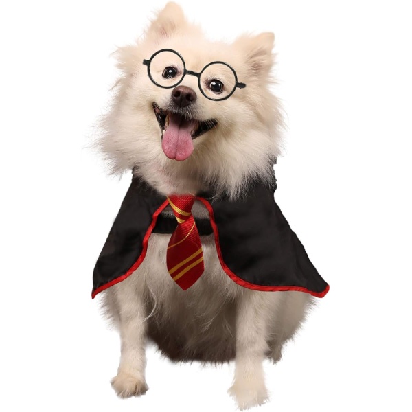 10 Dog Halloween Costume - Pet Fancy Dress Ideas - Harry Potter - Wizard