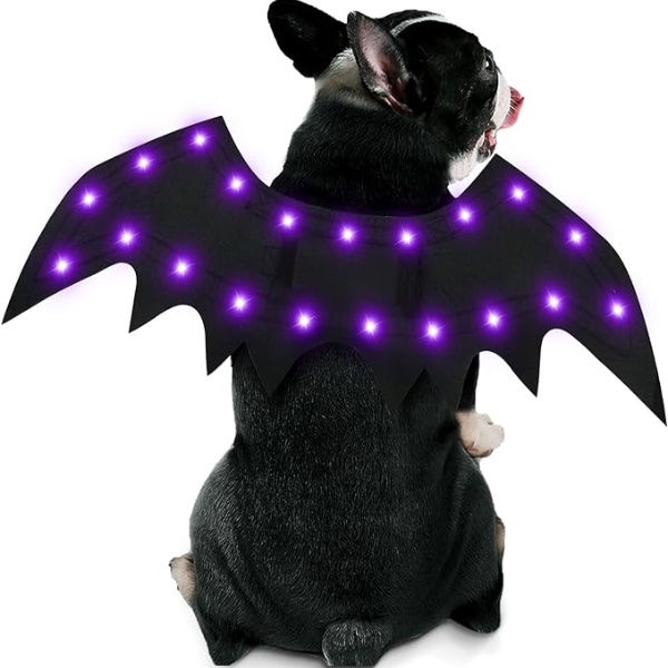 10 Dog Halloween Costume - Pet Fancy Dress Ideas - LED Bat Wings for your Dog