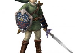 Link Costume - The Legend of Zelda Fancy Dress Halloween