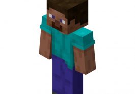 Minecraft Steve Costume - Minecraft Fancy Dress Ideas
