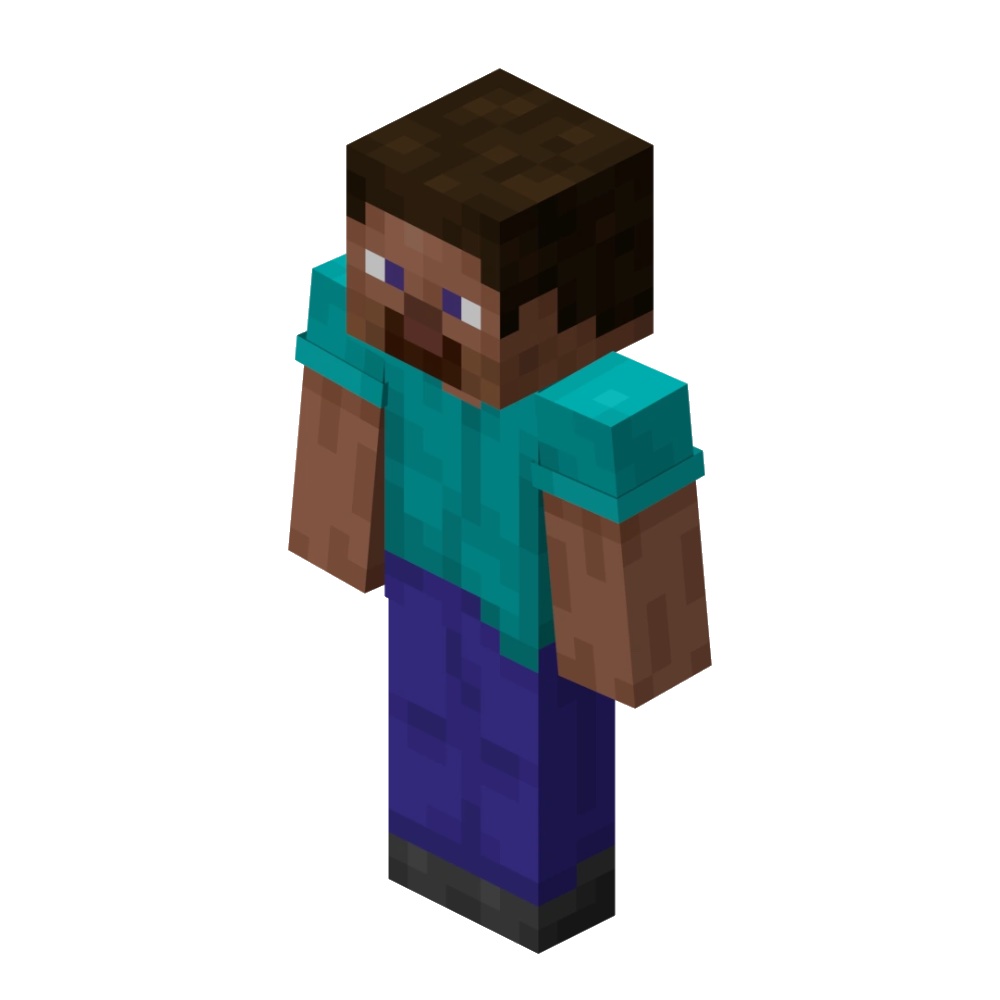 Minecraft Steve Costume - Minecraft Fancy Dress Ideas