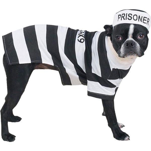 10 Dog Halloween Costume - Pet Fancy Dress Ideas - Prison Pooch