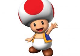 Toad Costume - Super Mario - Nintendo Fancy Dress Halloween